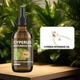 thumbnail image 2 of Aceite de Cyperus Rotundus para la depilación, aceite natural de Cyperus Rotundus que reduce el crecimiento del vello no deseado, calmante e hidratante, minimiza los poros, suaviza la piel., 2 of 4