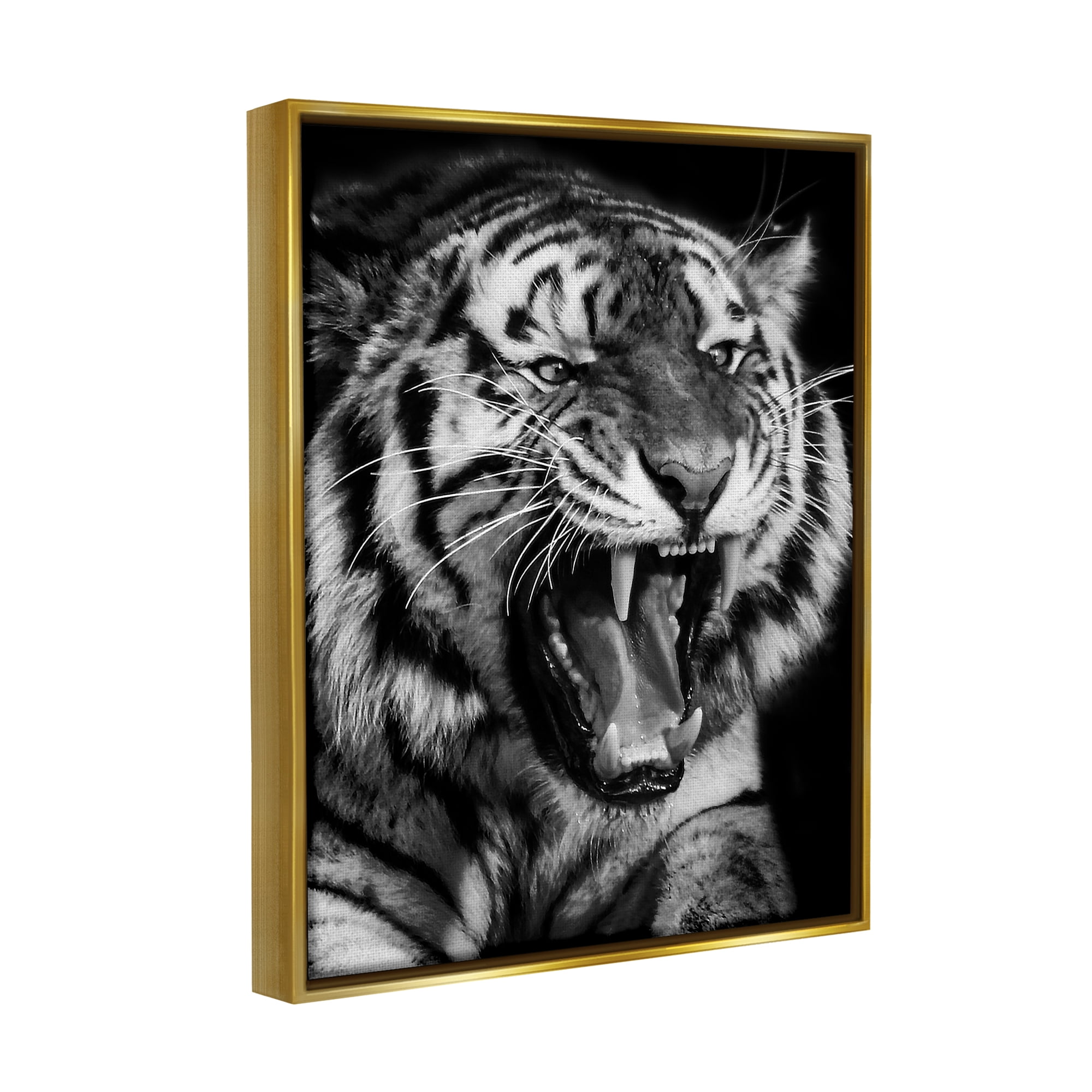 Stupell Industries Tiger Roaring Photography Animals & Insects Photography Gold Floater Framed Canvas Art Print Wall Art, 17 x 21