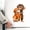 6 Inches, variant on Cute Hugging Monkey Car Sticker, 6/12 Inch Waterproof Decal for Car Window, Laptop, Fridge, Home Decor