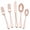 Rose Gold, variant on odorsTT 20 Piece Silverware Tableware Set,Novelty Flatware Cutlery Set, Include Knife Fork Spoon, Modern Mirror Polished Dining Utensil Set Dishwasher for Home Restaurant - Rose Gold