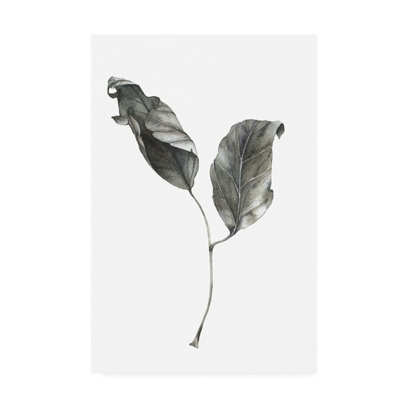 Trademark Fine Art 'Silver Leaf' Canvas Art by Incado