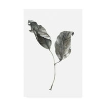Trademark Fine Art 'Silver Leaf' Canvas Art by Incado