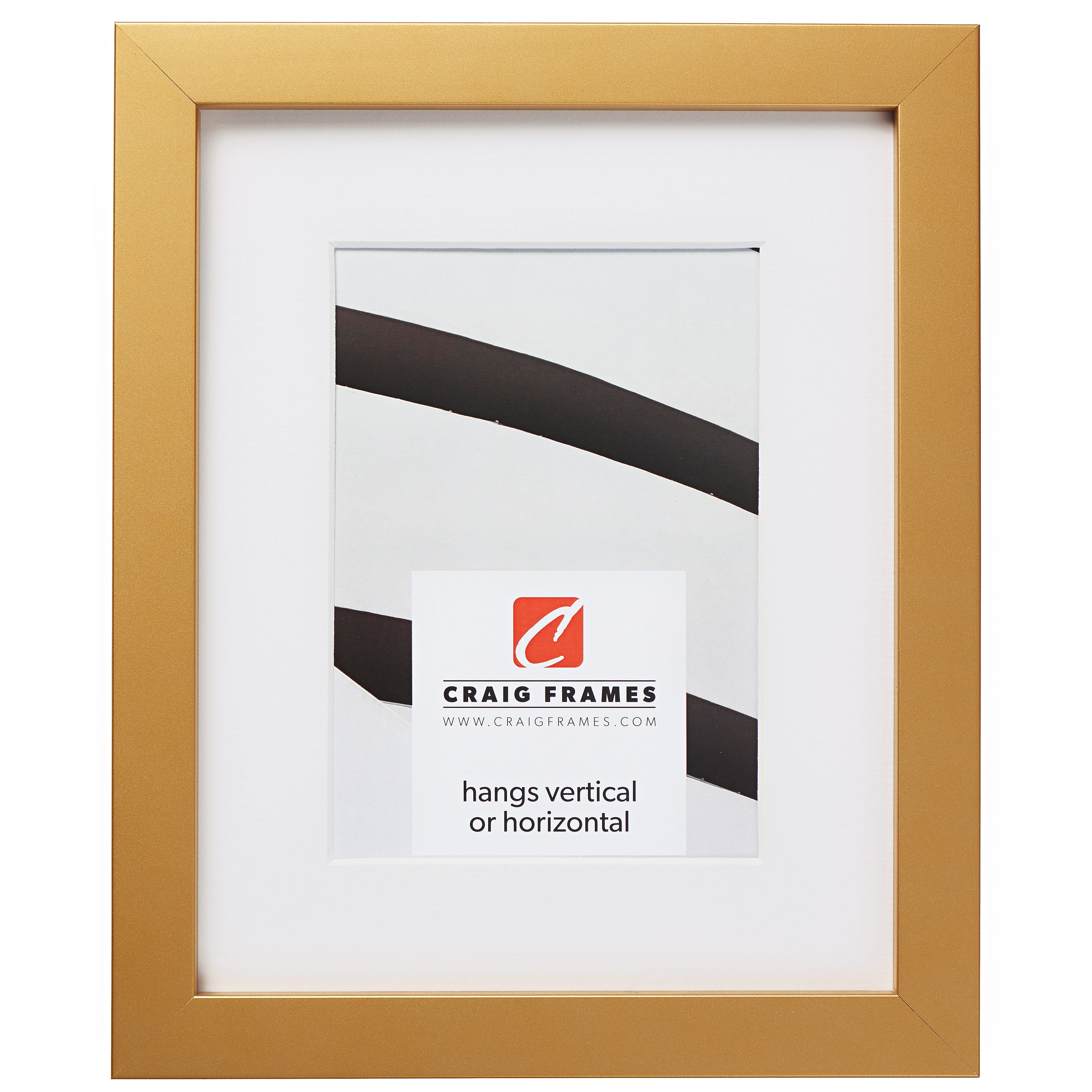 Craig Frames Confetti, 12x18 inch Modern Gold Picture Frame Matted for