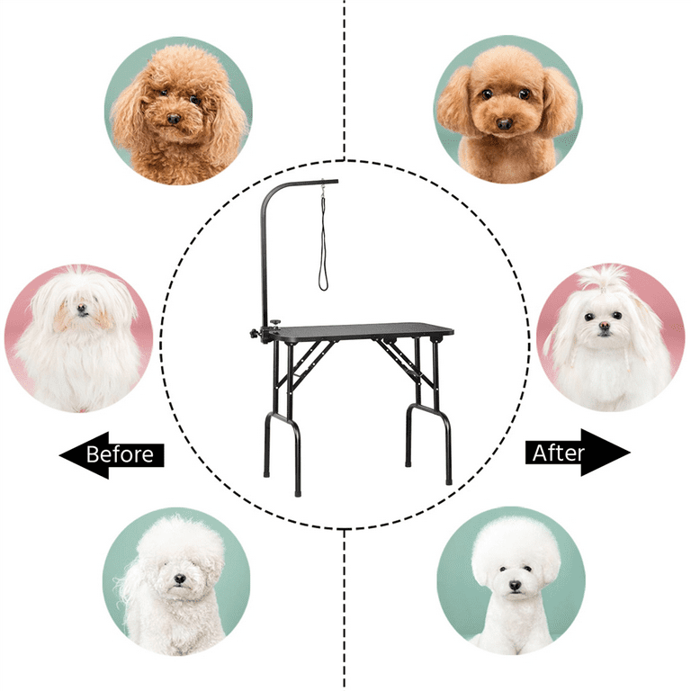 Dog grooming table clearance walmart
