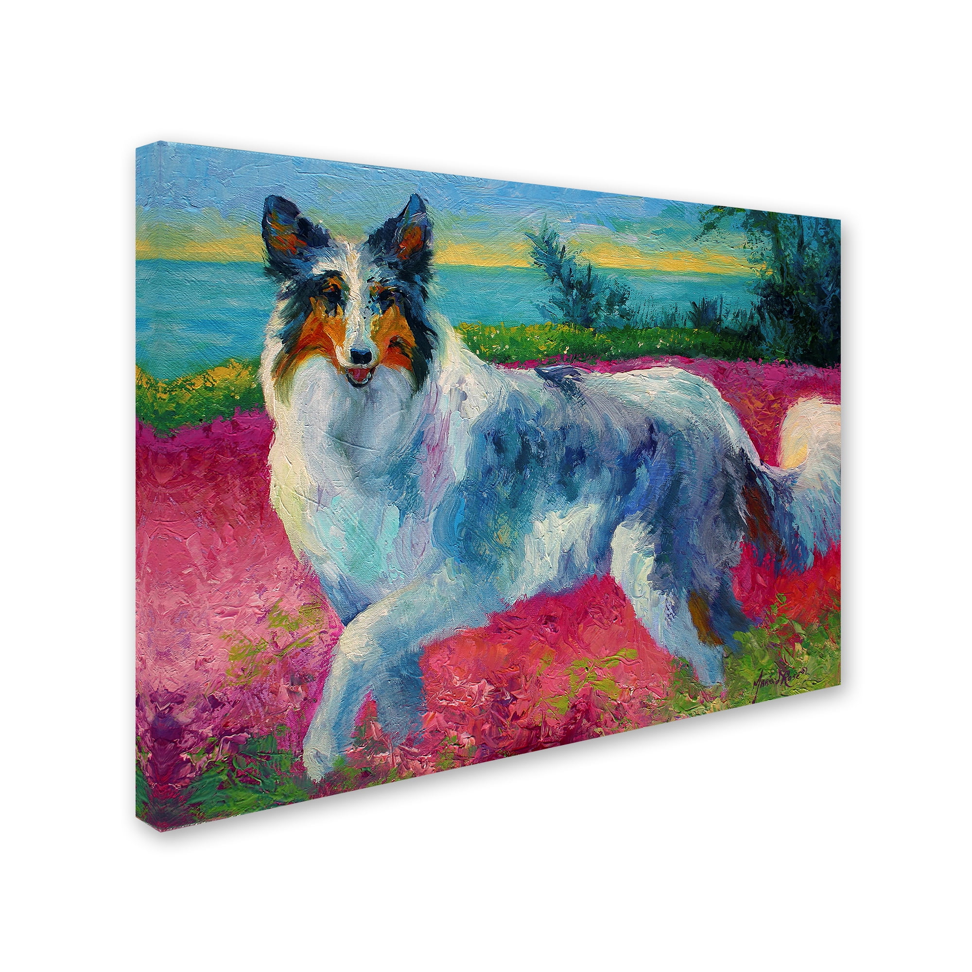 Trademark Fine Art 'Mony Collie' Canvas Art by Marion Rose