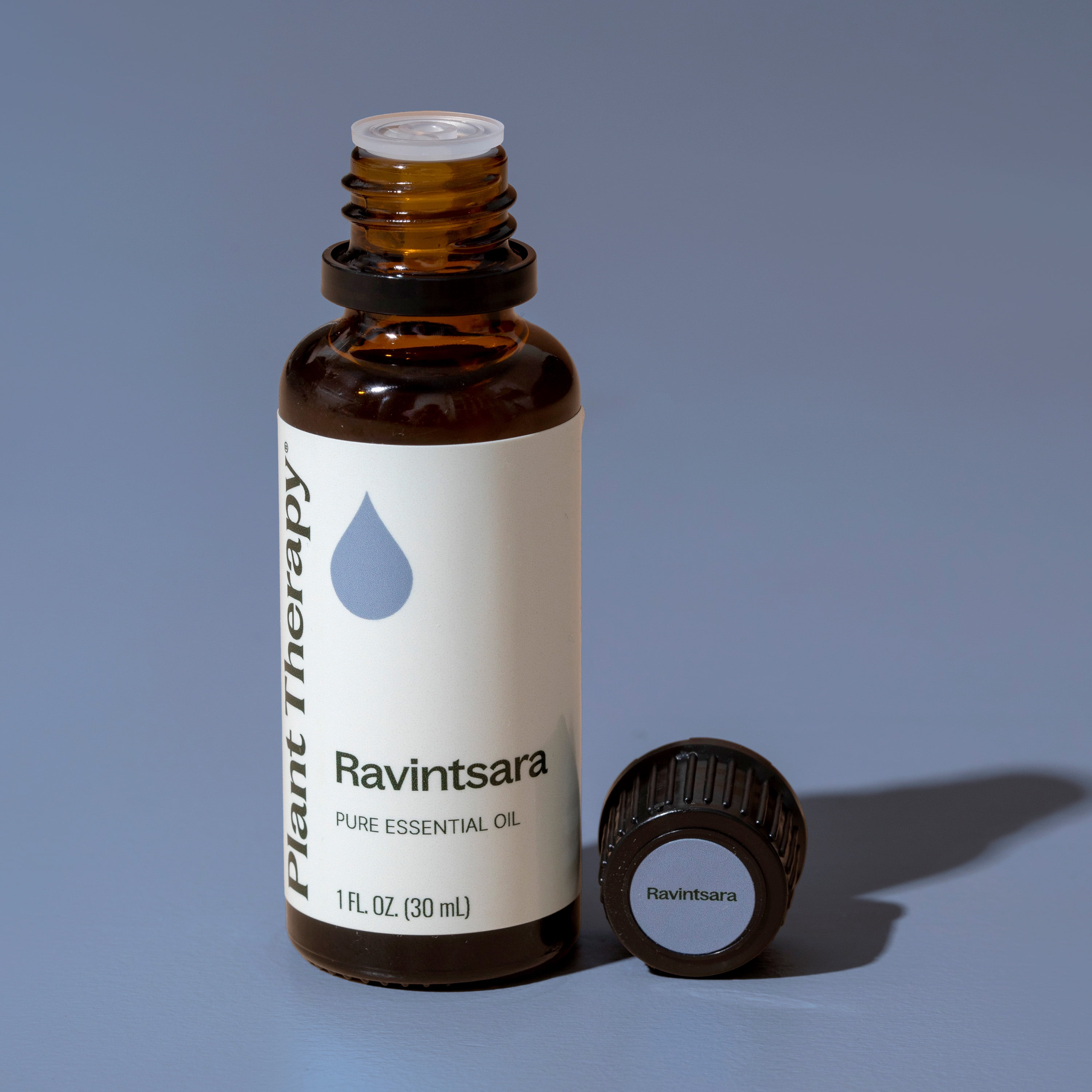 Plant Therapy Ravintsara Essential Oil 30 mL (1 oz) 100% Pure