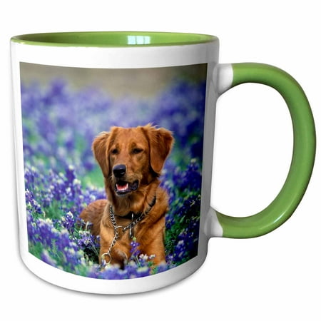 

3dRose Texas. Golden Retriever dog Texas Blue Bonnets - US44 TVE0015 - Tom Vezo - Two Tone Green Mug 11-ounce