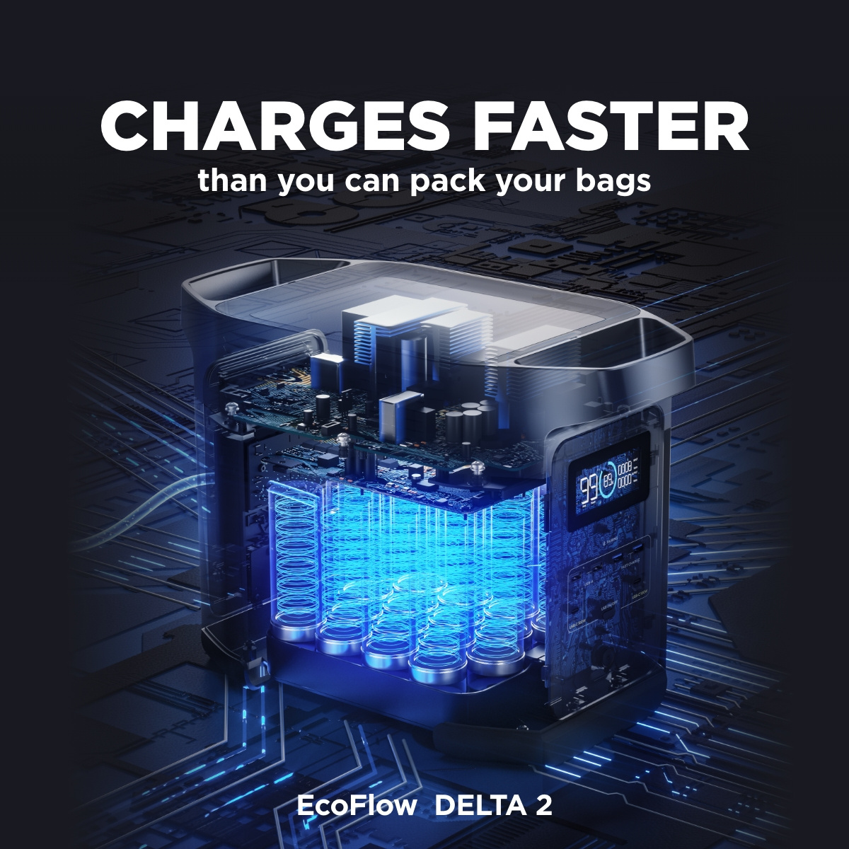 EcoFlow DELTA 2 950 Portable Power Station, 950Wh LiFePO4 Battery, 7x Fast Charging, 1800W AC Output Power Station, Can be Used as Home Backup Power or Solar Power Bank for Outdoor Camping and RV