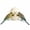 White, variant on EVHRZN Cute Mushroom Ceramic Bird Water Dispenser & Seed Bowl, Premium Glazed Anti-Dust Feeding Dish for Small Parrots, Conures, Hamsters, Heavy Duty Cage Accessory