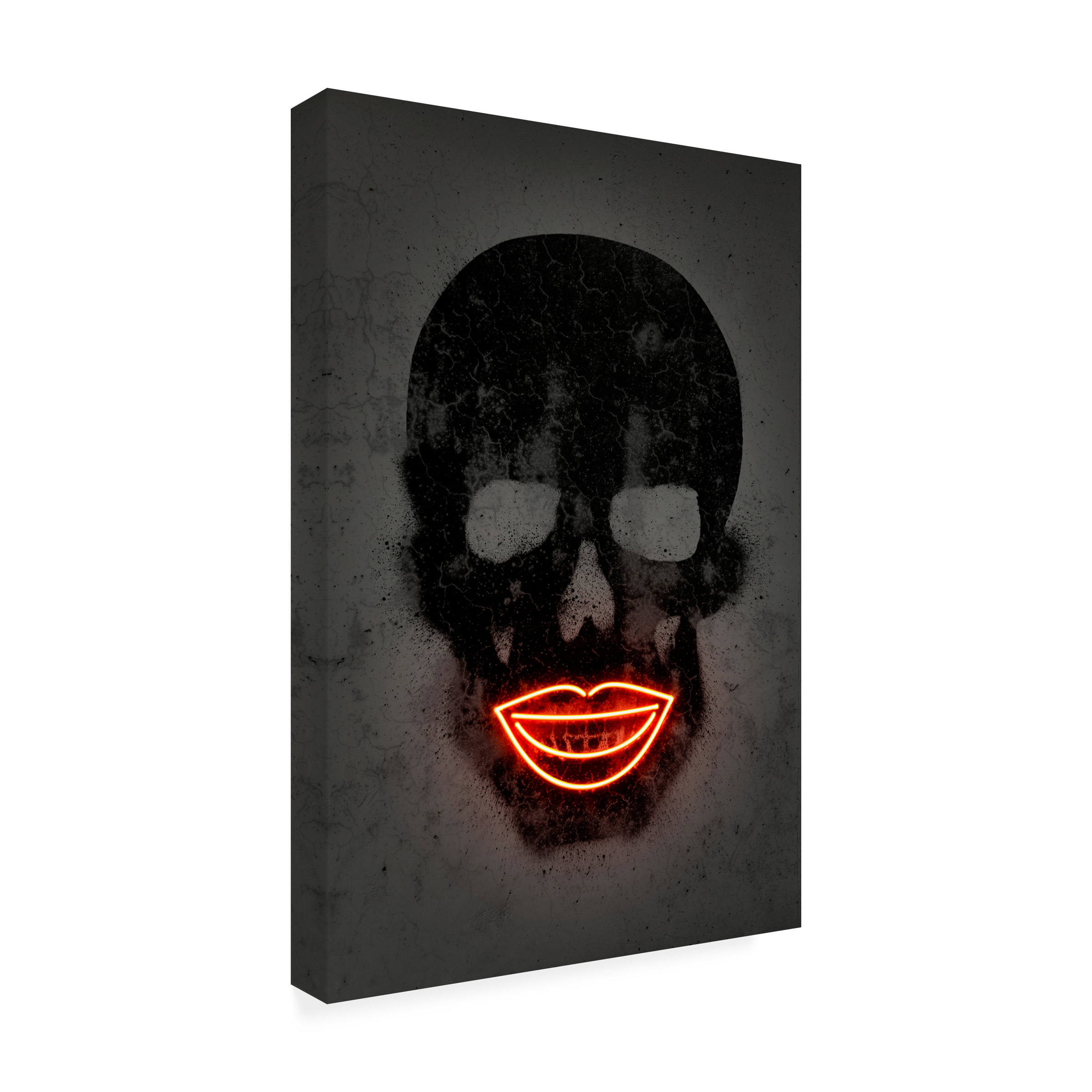 Trademark Fine Art 'Skull' Canvas Art by Octavian Mielu