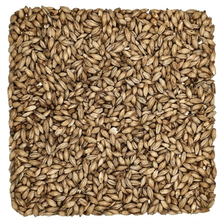 Home Brew Ohio Lager Grain 1lb
