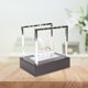 thumbnail image 1 of Newton Cradle Balance Bolas de acero Material didáctico escolar Juguete de escritorio antiestrés Likrtyny juguetes de los niños, 1 of 8