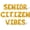 Gold, variant on Letter Balloons - SENIOR CITIZEN VIBES 16" Inch Alphabet Letters Foil Mylar Balloon Senior Birthday Party Banner (Gold)