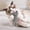 Gray, variant on Cute Cat Shaped Squeaky Pet Toy, Soft Crystal Polyester Fabric Interactive Chew Toy, Portable Resilient Play Squeaker Toy For Indoor Cats And Small Breed Dogs Daily Play
