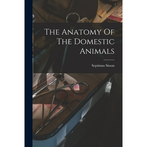 The Anatomy Of The Domestic Animals, (Paperback)