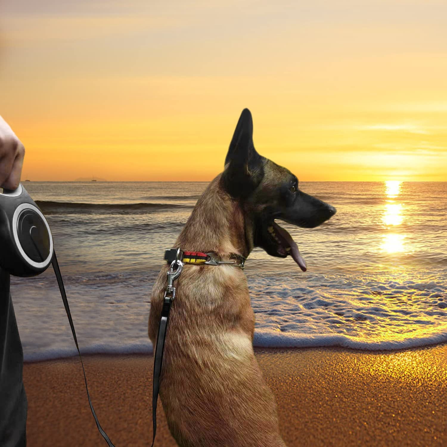 26Ft Retractable Dog Leash Heavy Duty for Dogs up to 110 lbs with Anti-Slip Handle One-Handed Brake Strong Nylon Tape Tangle Free Large Size