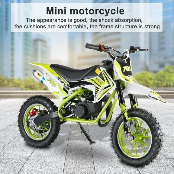 Demete 49cc 2-Stroke Kids Dirt Bike, Gas Power Motocross, Off Road Mini Motorcycle, Children Pocket Motorbike with Front Rear Disc Brakes (Green)