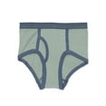 thumbnail image 6 of Wonder Nation Toddler Boys Brief Underwear, Sizes 2T-4T, 10 Pieces, 6 of 12