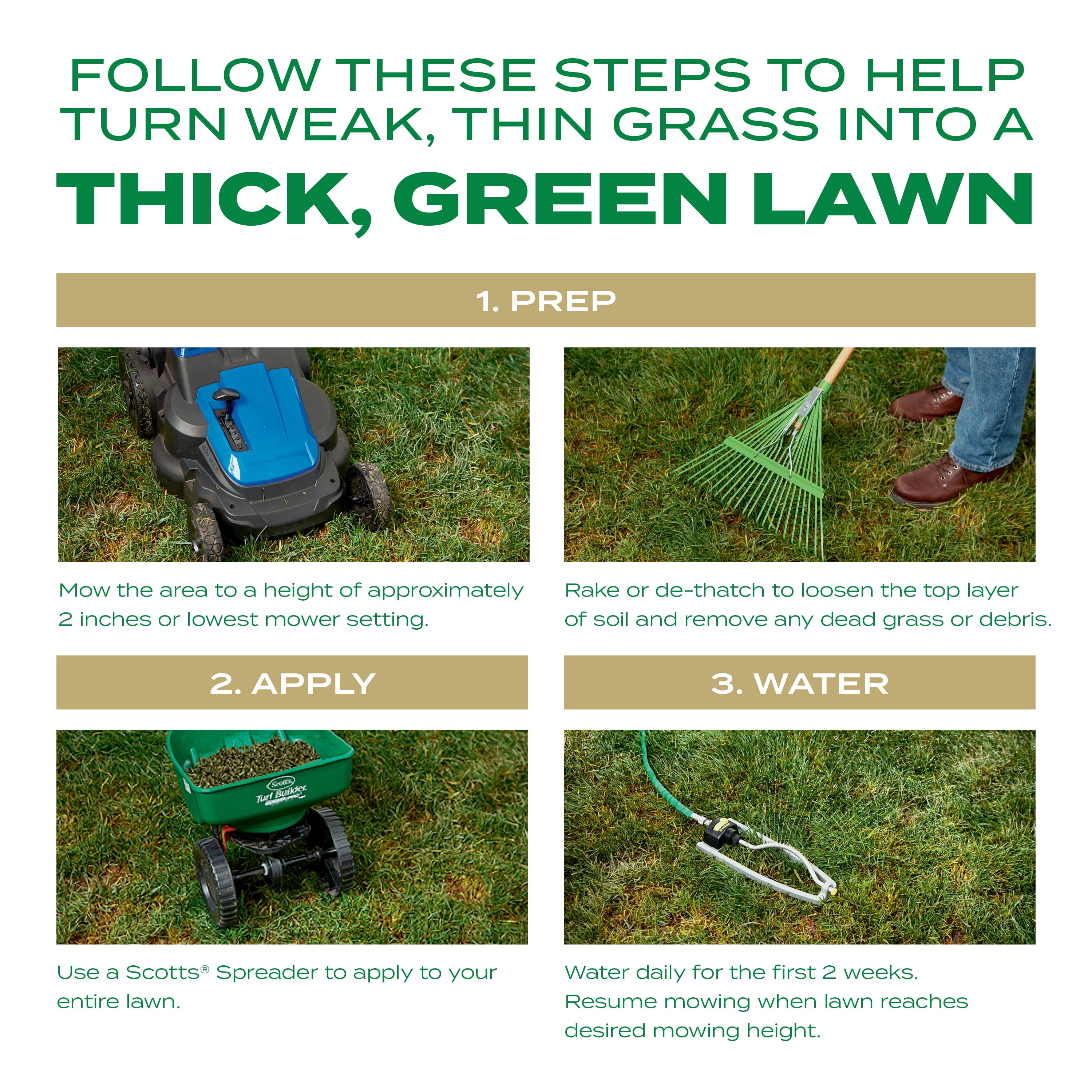 Scotts Turf Builder Thick'R Lawn Southern Gold Blend for Tall Fescue Lawns, 12 lbs.