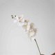 thumbnail image 3 of Jarrón de vidrio blanco con una sola flor de Phalaenopsis, flores artificiales, arreglo decorativo for sala de estar., 3 of 6