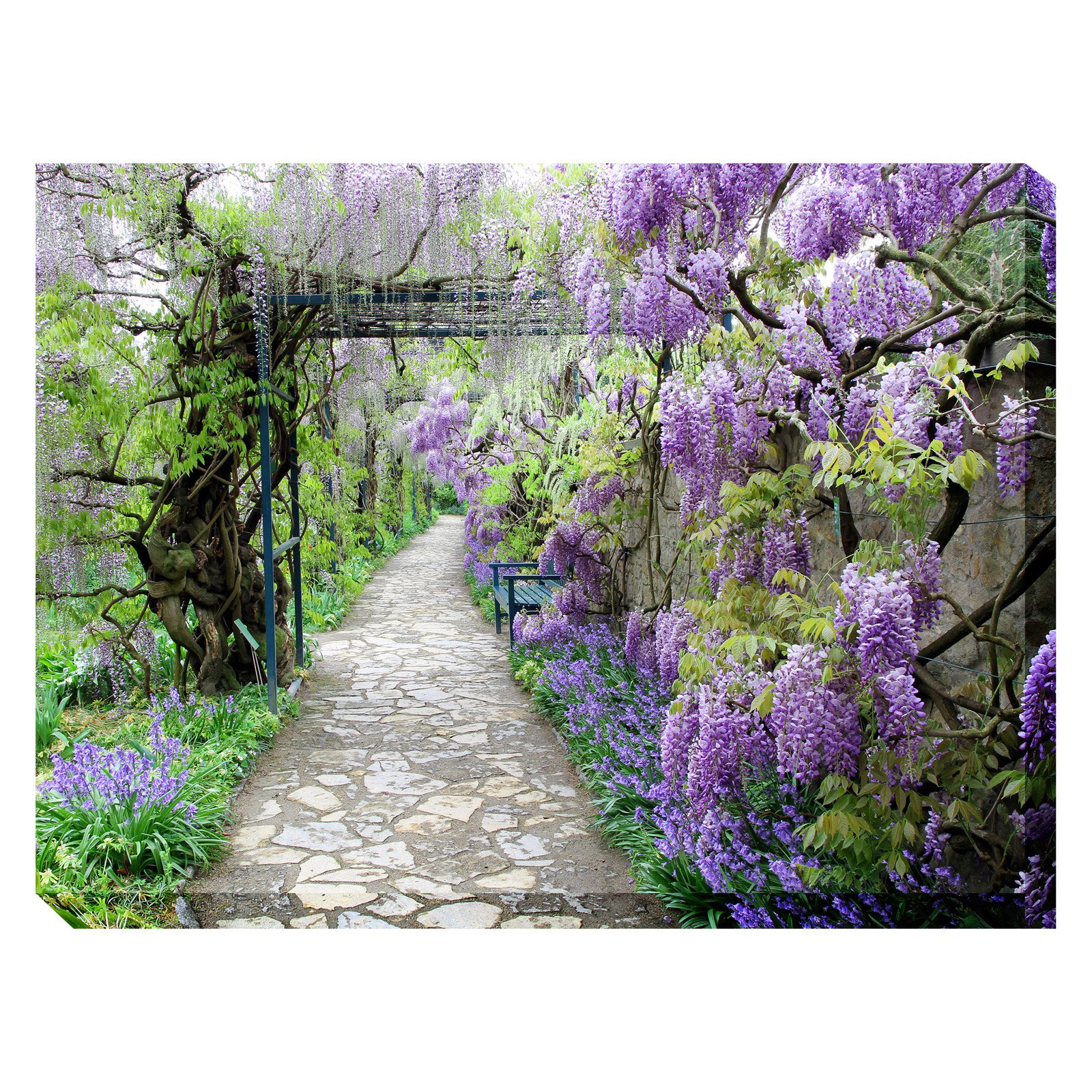 Purple and Green Wisteria Path Outdoor Canvas Rectangular Wall Art