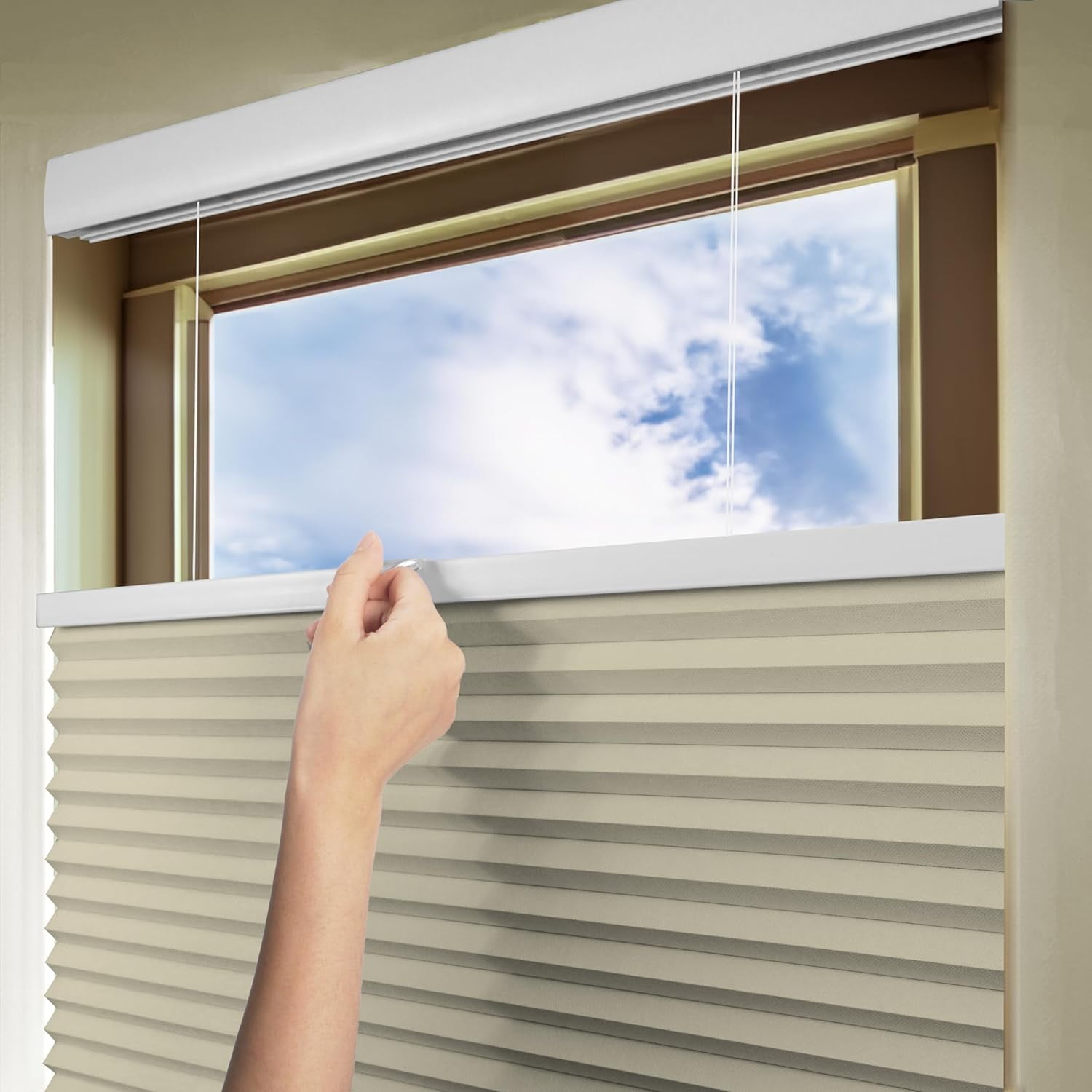 Chicology Beige Blackout Cordless Top Down Bottom Up Cellular Shades 36 in. W x 48 in. L