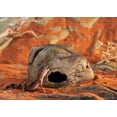 thumbnail image 2 of Exo Terra Gecko Cave for Reptiles - DS, 2 of 2