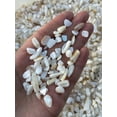 thumbnail image 6 of WHOLESALE Natural Semi Tumbled Mother of Pearl Gemstone Chips, Crushed Mini Crystals, Undrilled (Mother of Pearl, 3 Pounds), 6 of 8
