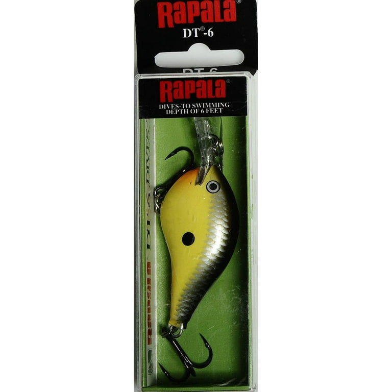 Lot of 2 Rapala Dive To DT10 DT6 Crankbait Lures Mardi Gras - Dentists in  Springfield, VA