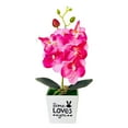 thumbnail image 2 of SPRING PARK Artificial Butterfly Orchid Flower Plants In Pot Fake Home Wedding Party Decor, 2 of 7