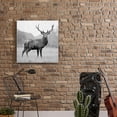 thumbnail image 2 of Masterpiece Art Gallery Proud Deer By PhotoINC Studio Canvas Art Print 24" x 24", 2 of 4