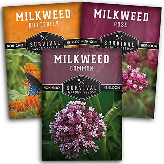 3 packs Milkweed - Butterfly, Common, Rose - Full Sun Perennial Flowers for Monarch Butterflies