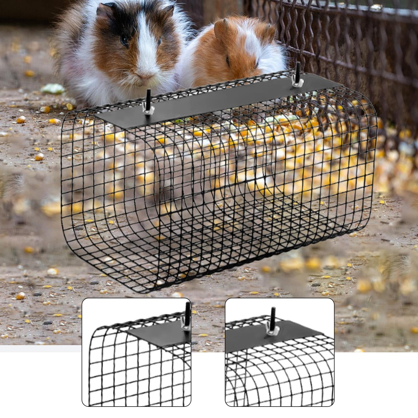 CarpNettore Ferret Hamster Tunnel Home Pet Tunnel House for Rats Ferrets Syrian Hamsters