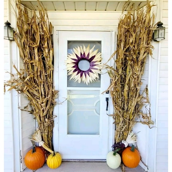 50" Dried Corn Stalk Bundle Fall Decor Thanksgiving Halloween Wedding Stalks