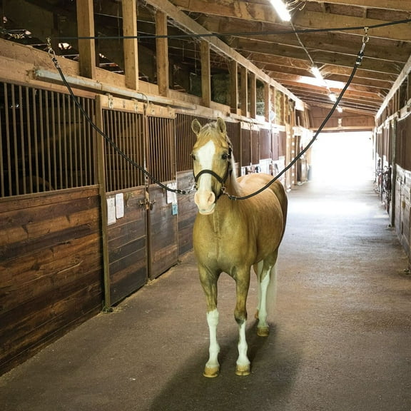 Schneiders Dura-Tech Overhead Aisle Tie | Stable Organizer | Provides Comfort