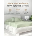 thumbnail image 3 of Good Sleep Bedding Deep Fitted Sheet Only King Sage Egyptian Cotton 800 TC for All Age Group, 3 of 8