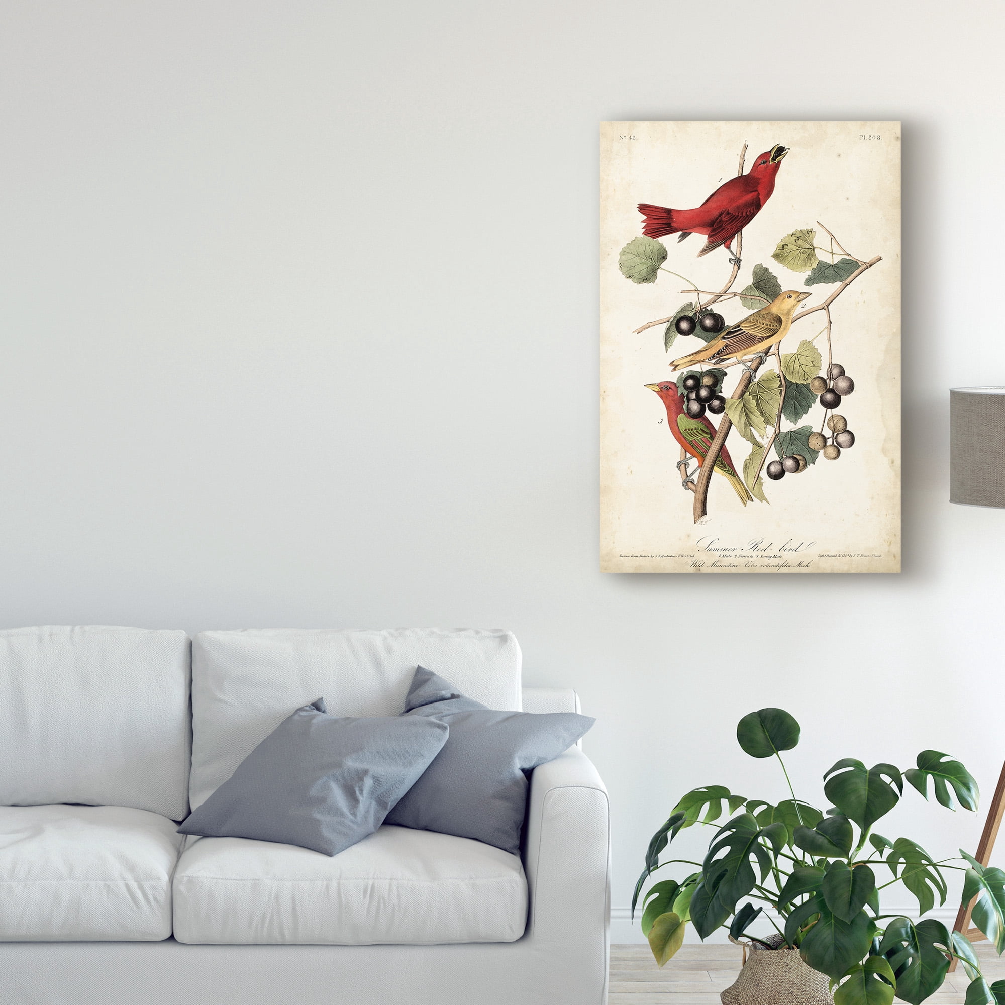 Trademark Fine Art 'Summer Red Bird' Canvas Art by John James Audubon