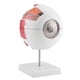 thumbnail image 4 of Tornillo de banco giratorio, tornillo de mesa universal, tornillo de mesa de trabajo, tornillo de banco giratorio, diseño de última generación Jadeshay A, 4 of 8
