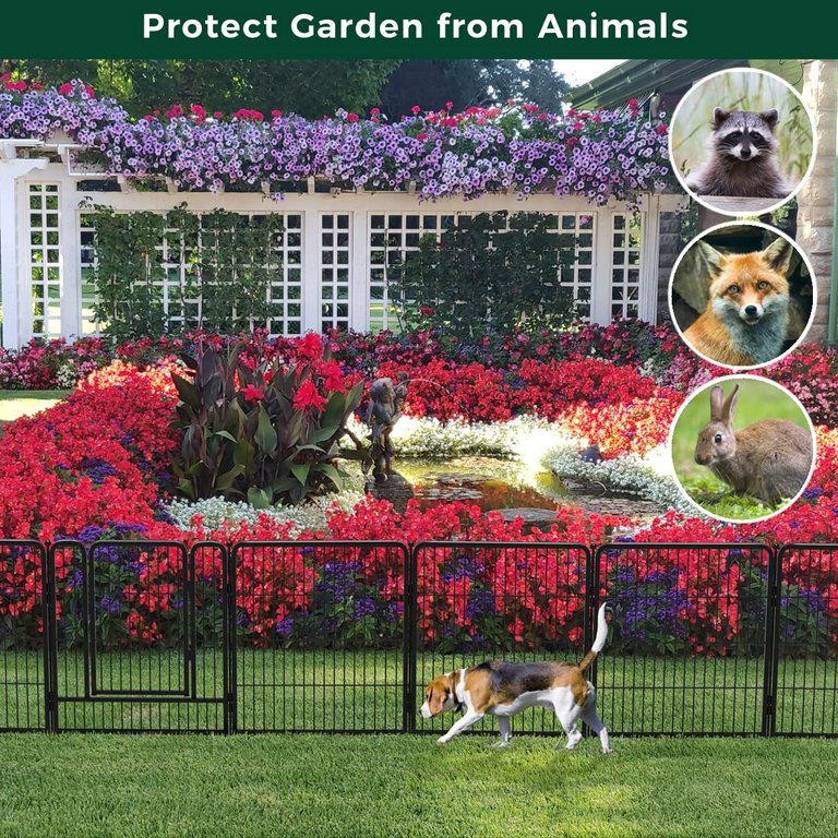 Keep dogs out of flower beds 2025