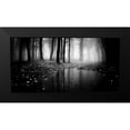 thumbnail image 2 of PhotoINC Studio 14x9 Black Modern Framed Museum Art Print Titled - Woods, 2 of 5