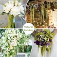 thumbnail image 6 of Triani 5Pcs  Preserved Amaranthus Flowers 16"-28" Wisteria Hanging Vine Flowers Dried Amaranthus Hanging Flowers for Wall Hanging Flower Arrangement Vase（Light Green）, 6 of 7