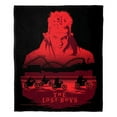 thumbnail image 4 of Lost Boys We Ride at Night Warner Bros Kids Silk Touch Throw Blanket, 50 x 60 inches, 4 of 5
