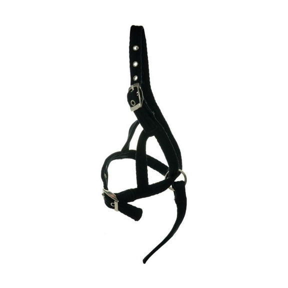 Hy Foal Slip Halter equestrian