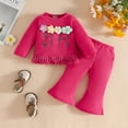 thumbnail image 3 of LYHaoo Girls Pant and Top Sets Toddler Girls Long Sleeve Floral T Shirt Tops Tassels Pants Outfits Sizes 9-12 Months(Pink), 3 of 6