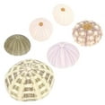 thumbnail image 6 of 6pcs Sea Urchin Decors Aquarium Decorations Sea Urchin Ornaments Desktop Decors Mixed Style, 6 of 6