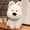White-WH, variant on MMJ Stuffed Animals West Highland White Terrier Plush Dog Toy Sitting Scarf Soft Cotton Cuddly Gift 9.84in