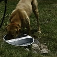 thumbnail image 4 of Little Giant 13-Quart Galvanized Steel Ever Full Pet Water Bowl Dish (4 Pack), 4 of 4