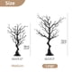 thumbnail image 5 of Árbol de manzanita artificial NUPTIO negro de 76 cm de altura (2 unidades), 5 of 8