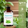 thumbnail image 4 of MAJESTIC PURE Peppermint Essential Oil | 100% Pure and Natural Peppermint Oil | Premium Grade Essential Oils for Hair Care, Home Diffusers, Skin, Aromatherapy, Massage and Humidifiers | 4 fl oz, 4 of 10
