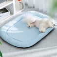thumbnail image 1 of Summer Cool Mat Sleeping Pad Water Absorption Top Bottom Materials Safe Easy Carry Keep Cool For Pet Kids And Adults. Pet Supplies, 1 of 9